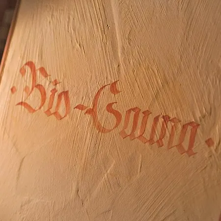 Schwab Taxenbach